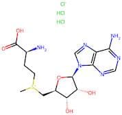 S-Adenosyl-L-methionine (chloride dihydrochloride)