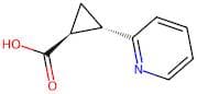 (1S,2S)-rel-2-(Pyridin-2-yl)cyclopropane-1-carboxylic  acid