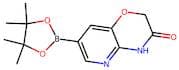 7-(4,4,5,5-Tetramethyl-1,3,2-dioxaborolan-2-yl)-4H-pyrido[3,2-b][1,4]oxazin-3-one