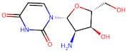 2'-Amino-2'-deoxyuridine
