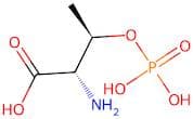 O-Phospho-L-threonine