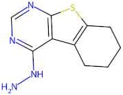 4-Hydrazinyl-5,6,7,8-tetrahydrobenzo[4,5]thieno[2,3-d]pyrimidine