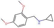 N-(2,4-Dimethoxybenzyl)cyclopropanamine