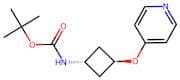Tert-butyl (trans-3-(pyridin-4-yloxy)cyclobutyl)carbamate