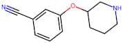 3-(Piperidin-3-yloxy)benzonitrile