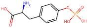 H-Tyr(H2PO3)-OH