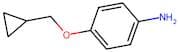 4-(Cyclopropylmethoxy)aniline