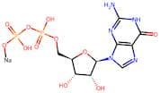 Guanosine 5'-diphosphate (sodium), 96% (HPLC)