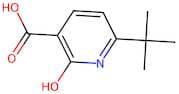 6-(Tert-butyl)-2-hydroxynicotinic acid