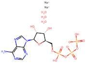 (((2R,3S,4R,5R)-5-(6-Amino-9H-Purin-9-yl)-3,4-Dihydroxytetrahydrofuran-2-yl)Methyl)Triphosphoric A…