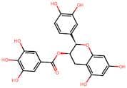 (-)-Epicatechin gallate