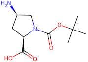 (2R,4R)-1-Boc-4-Aminopyrrolidine-2-Carboxylic Acid