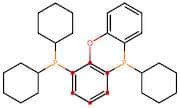 (Oxybis(2,1-phenylene))bis(dicyclohexylphosphine)