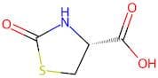 (R)-2-Oxothiazolidine-4-Carboxylic Acid
