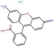 2-(6-Amino-3-Imino-3H-Xanthen-9-Yl)Benzoic Acid Hydrochloride
