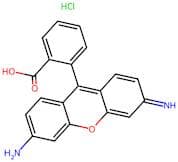 2-(6-Amino-3-Imino-3H-Xanthen-9-Yl)Benzoic Acid Hydrochloride
