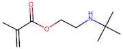 2-(Tert-Butylamino)Ethyl Methacrylate