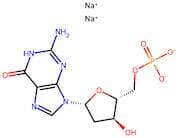 2’-Deoxyguanosine-5’-Monophosphoric Acid Disodium Salt