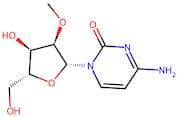 2’-O-Methylcytidine