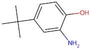 2-Amino-4-Tert-Butylphenol