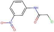 2-Chloro-N-(3-Nitrophenyl)Acetamide