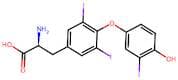 3,3’,5-Triiodo-L-Thyronine
