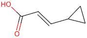 3-Cyclopropylacrylic Acid