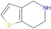 4,5,6,7-Tetrahydrothieno[3,2-C]Pyridine