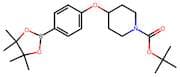 4-[4-(4,4,5,5-Tetramethyl-1,3,2-Dioxaborolan-2-yl)Phenoxy]Piperidine-1-Carboxylic Acid Tert-Butyl …