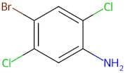 4-Bromo-2,5-Dichloroaniline