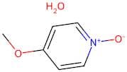 4-Methoxypyridine N-Oxide Hydrate