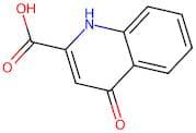 4-Oxo-1,4-Dihydroquinoline-2-Carboxylic Acid