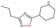 5-(Piperidin-3-Yl)-3-Propyl-1,2,4-Oxadiazole