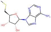 5’-Methylthioadenosine