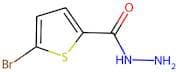 5-Bromothiophene-2-Carbohydrazide