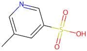 5-Methylpyridine-3-Sulfonic Acid