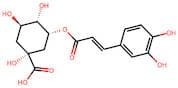5-O-(Trans-3,4-Dihydroxycinnamoyl)-D-Quinic Acid