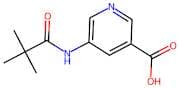 5-Pivalamidonicotinic Acid