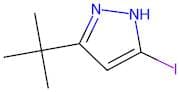 5-Tert-Butyl-3-Iodo-1H-Pyrazole