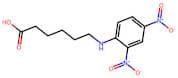 6-((2,4-Dinitrophenyl)Amino)Hexanoic Acid