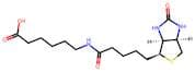 6-Biotinamidohexanoic Acid