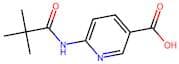 6-Pivalamidonicotinic Acid