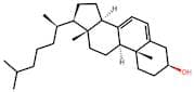 7-Dehydrocholesterol