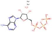 Adenosine 5’-triphosphate disodium salt hydrate
