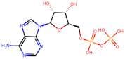 Adenosine-5-Diphosphate
