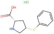 Cis-4-Phenylthio-L-Proline Hydrochloride