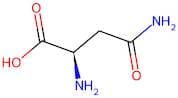 D-Asparagine