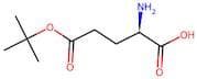 D-Glutamic Acid 5-Tert-Butyl Ester
