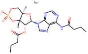 Dibutyryl-Camp Sodium Salt