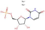 Disodium Uridine-5-Monophosphate
